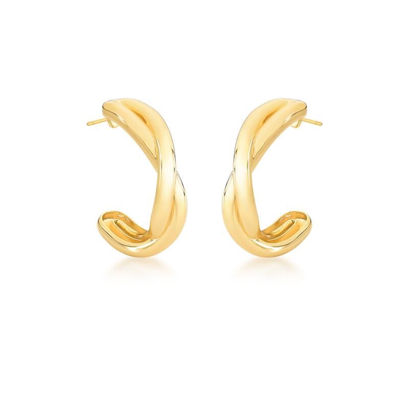 Brinco Elegant Twist